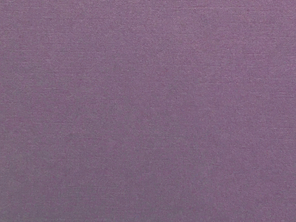 Eggplant_Pocket_Folder_Color